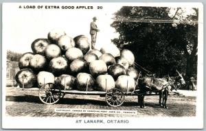 RPPC Kingston Ontario Canada Exaggerated Fishing Real Photo