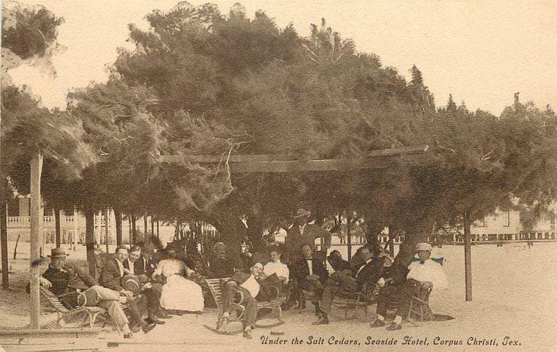 c1910 Corpus Christi Texas Under the salt Cedars Rest relax Group Image Postcard