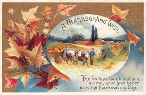 Thanksgiving Greeting Autumn Leaf Ox Cart Pumpkin Peasant embossed postcard B990