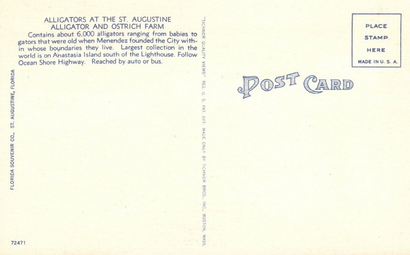 Vintage Postcard 1930's Alligators at St. Augustine Alligator & Ostrich Farm Fla
