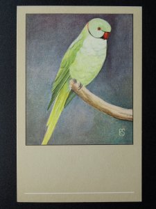 Bird Theme INDIAN RING NECKED PARRAKEET c1950s Postcard by P Sluis Serie 7 No.75