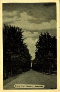 Drive way Waverly Tennessee Postcard Tree Lined Road PM 1943