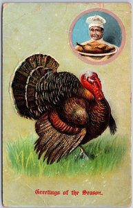 Greetings Of The Season Turkey Embossed Back Posted Postcard