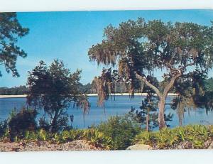 Pre-1980 LAKE SCENE Irwinville - Near Fitzgerald & Tifton & Cordele GA F3066