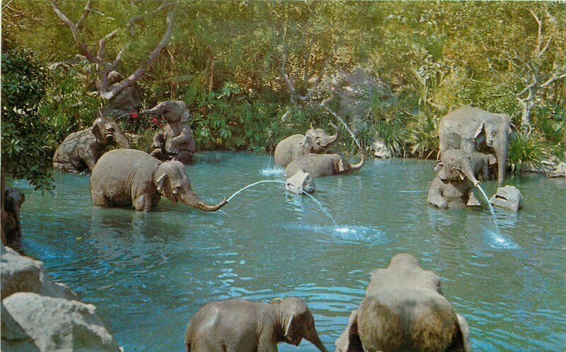 Amusement Disneyland Anaheim California Elephant Bathing Pool Postcard 10798