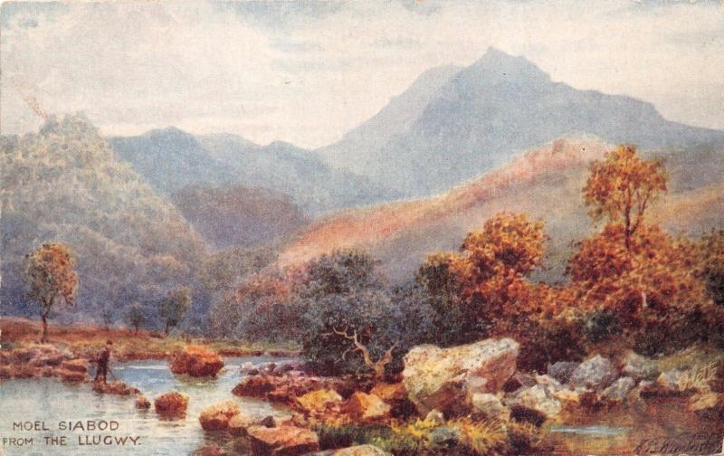 SNODONIA WALES UK~MOEL SIABOD FROM  LLUGWY~TUCK #7876 H H WIMBUSH ART POSTCARD