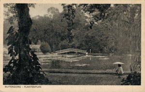 Indonesia Buitenzorg Plantentuin Kebun Raya Bogor Dutch East Indies 04.72