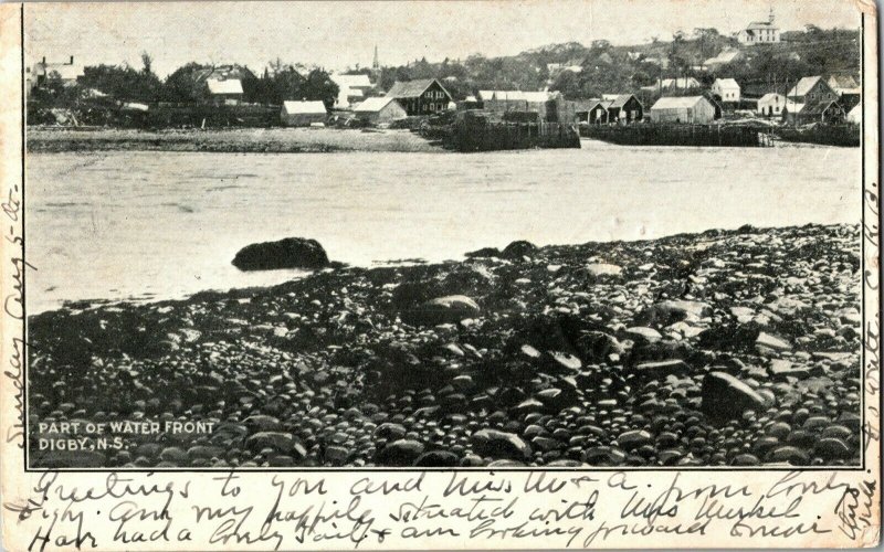View of Water Front Area, Digby NS Canada c1906 UDB Vintage Postcard M38