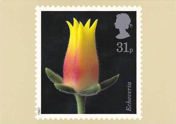 Stamps Flowers Echeveria House of Questa London England