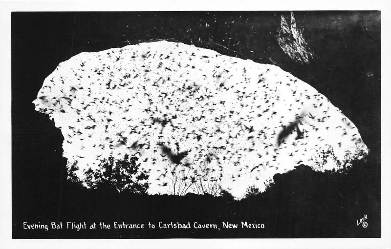 Carlsbad Cavern New Mexico~Evening Bat Flight @ Entrance~1940s Real Photo PC