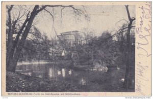 Swans on a Pond, TEPLITZ-SCHONAU, Czech Republic, PU-1915