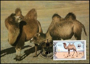 Mongolia - Maximum card WWF Camel 1985 (3)