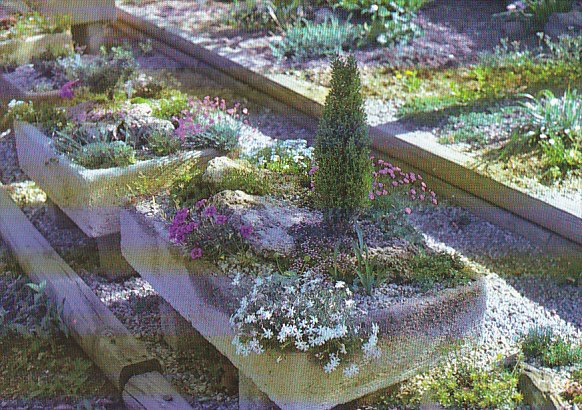 Connecticut Fairfield Trough Gardening At Oliver Nurseries