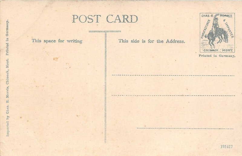 H57/ Devils Lake North Dakota Postcard c1910  Panorama Chautauqua 117 