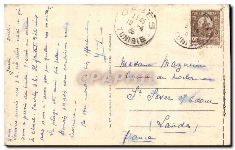 Old Postcard Tunisia Gabes Oasis Téboulbou