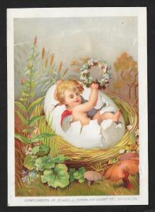VICTORIAN TRADE CARDS (3) HM Baum Importer Baby Coming Out of Egg Shells