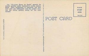  FL, Sarasota, Florida, Ringling Brothers, Winter Quarters, Monkey, Greetings