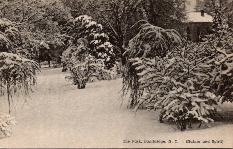 New York Adirondacks Bainbridge The Park Winter Scene Albertype