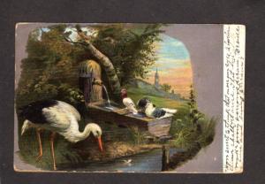Birds Pigeons Chalkorit Series Nature Postcard Carte Postale Brevkort Animals