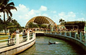 Florida Miami Seaquarium Feeding Time In The Shark Channel