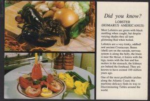 Did You Know? Lobster (Homarus Americanus)  ~ Cont'l