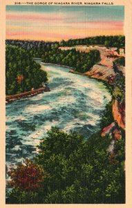 Vintage Postcard Gorge Of Niagara River Niagara Falls Tourist Attraction Canada