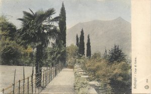 ITALY Como Lake Bellagio landscape palm tree