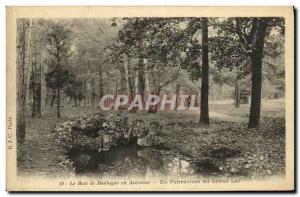 Old Postcard The Bois de Boulogne in Fall From Palmarium in Grand Lake