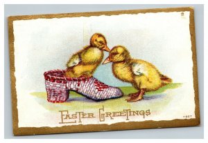 Vintage 1910's Winsch Back Easter Postcard Ducklings Old Shoe Gold Border