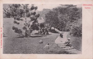 Deserted Baskets Garden Penang Malaysia Kaulfuss No 36 Old Postcard