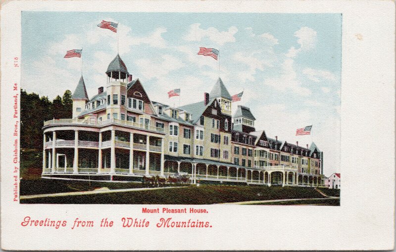 Mount Pleasant Home White Mountains NH New Hampshire Chisholm Bros Postcard G94