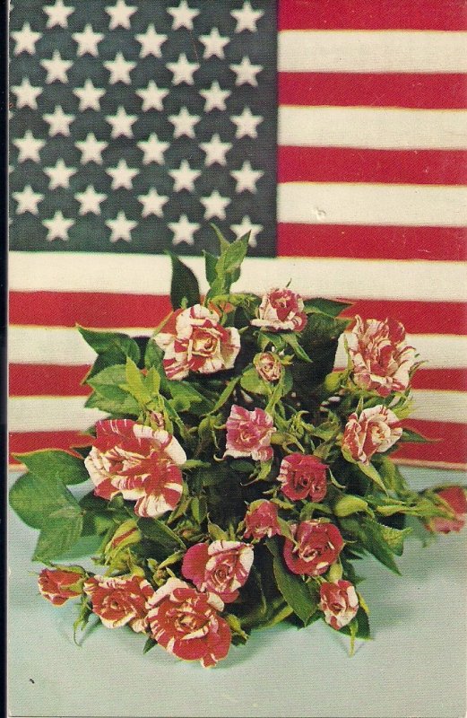 PATRIOTIC US Flag w Miniature Roses, Advertising, Nursery, Visalia CA 1960's