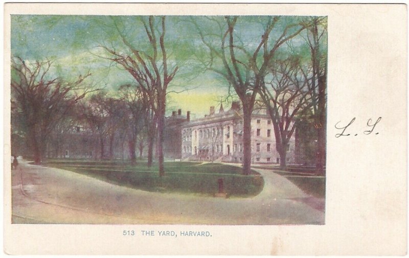 The Yard, Harvard University, Cambridge, Massachusetts, Antique Postcard