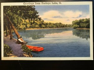 Vintage Postcard 1930-1945 Greetings from Buckeye Lake Ohio (OH)