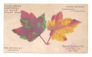 Ponds Extract Advertising Patent Medicine 2 Victorian Trade Cards Autumn Leaves