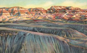 Vintage Postcard Attractive Evening Shadows Painted Desert Blue Forest Arizona