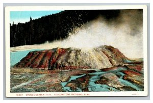 Vintage 1930 Postcard Sponge Geyser  Yellowstone National Park Wyoming