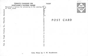 Tomato Canning Maryland's Eastern Shore - Misc , Maryland MD