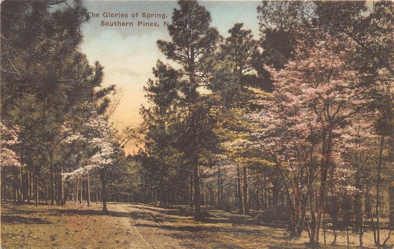 Southern Pines North Carolina~Glories of Spring~Hand-Colored Albertype Postcard