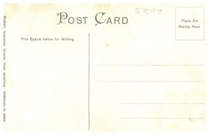 Massachusetts Cambridge The Washington Elm