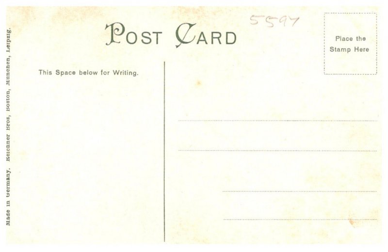 Massachusetts Cambridge The Washington Elm