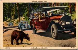 Postcard WA Feeding Bears at Roadside Rainier National Park Old Cars 1940 H11