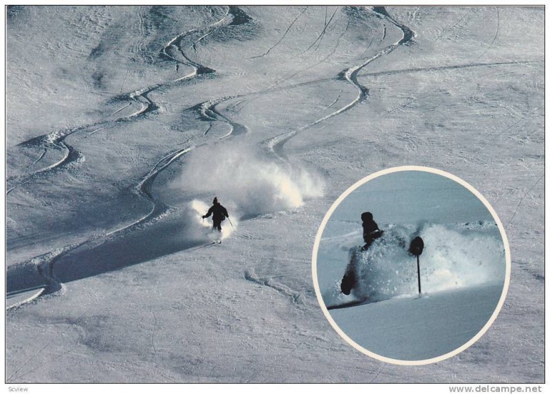 Powder Skiing, The Bowls Of Whistler Mountain, Whistler Mountain, British Col...