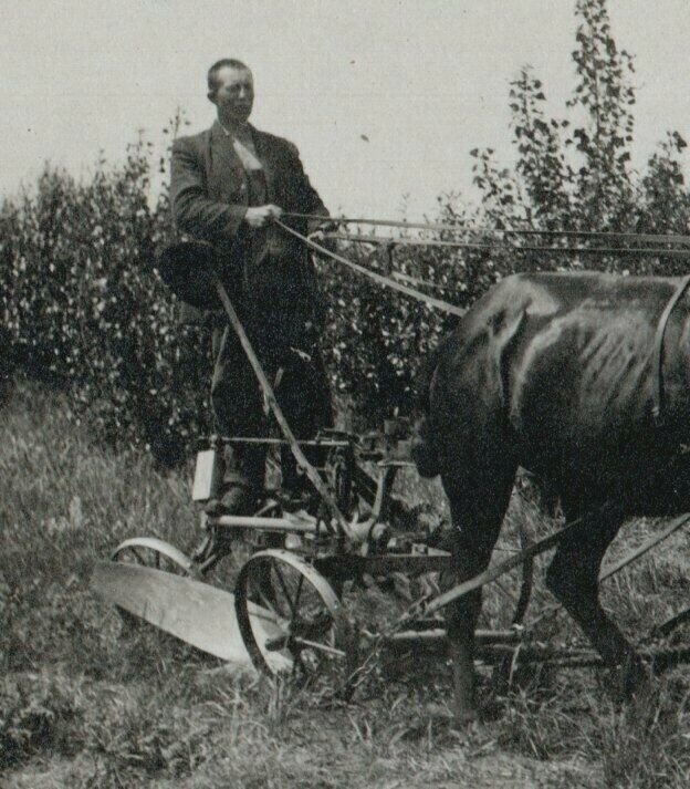 Minnesota RPPC 1910 FARMING SCENE Farm Farmer HORSE-DRAWN PLOW on Wheels MN