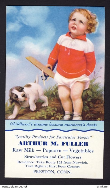 Preston, CONN. USA - Arthur M. Fuller - baby boy airplane puppy dog BLOTTER