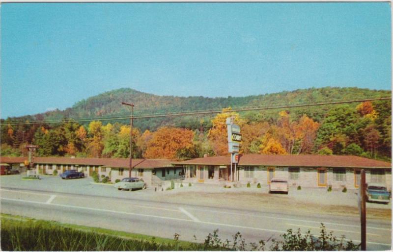 North Carolina  Asheville  Shamrock Court Motel