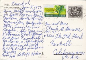 Madeira Portugal Multiview 1970s Postcard C8 