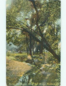 Divided-back NATURE SCENE Rockford Illinois IL AD8474