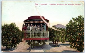 Postcard - The Limited Passing Through the Orange Groves - California