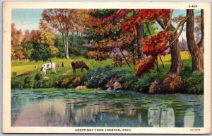 1936 Greetings From Ironton Ohio Lake Pasture Trees Greenery Posted Postcard